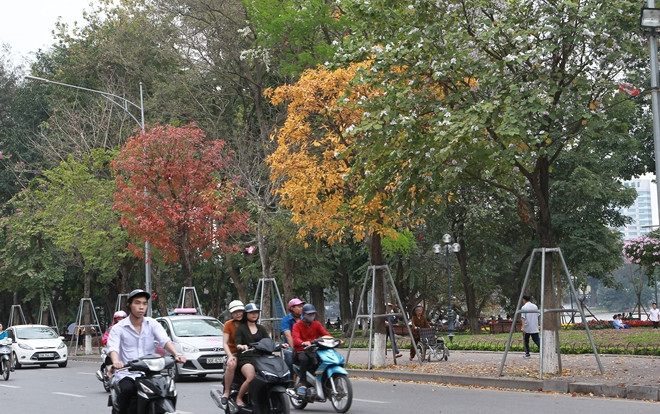 Ngắm những con phố đổi màu xanh, vàng, trắng đỏ đẹp như trong phim Hàn Quốc Ảnh 2