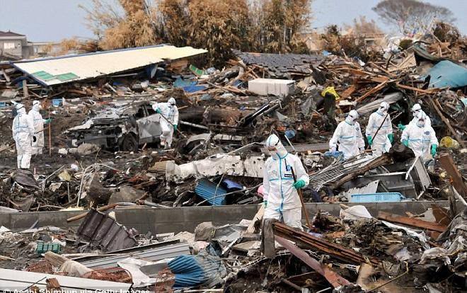 Thực tập sinh Việt tố công ty Nhật lừa tới Fukushima khử nhiễm phóng xạ Ảnh 2