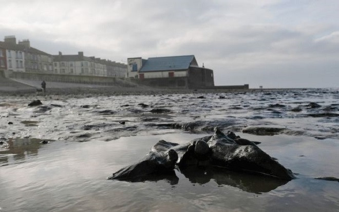 Trong cái rủi có cái may: Sau trận bão tuyết lịch sử, phát hiện khu rừng cổ 7.000 năm ở Anh Ảnh 2