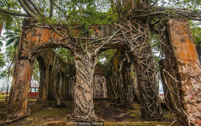 Quá khứ đen tối của hòn đảo ma nằm giữa Ấn Độ Dương Ảnh 2