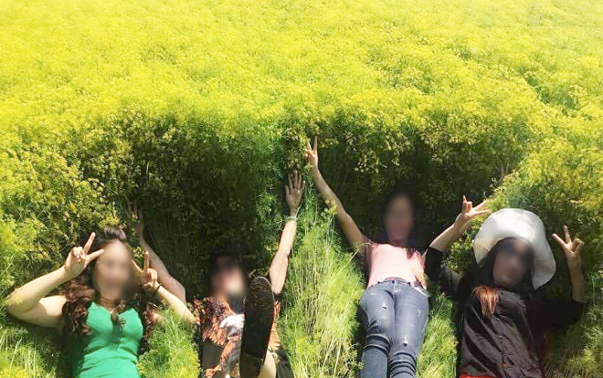 Cánh đồng hoa thì là 'hot nhất' Ninh Thuận dập tơi tả sau 4 ngày tham quan, chủ vườn có thể sẽ không mở cửa trở lại Ảnh 2