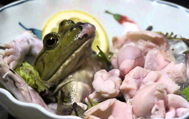 Người phụ nữ ăn ếch sống mong khỏi bệnh, không ngờ rước họa vào thân Ảnh 2