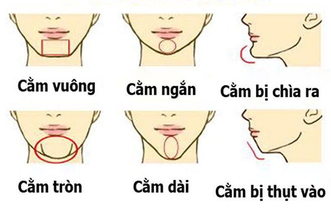 Nhìn tướng cằm biết ngay tính cách, phúc họa của một người Ảnh 2
