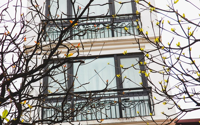 Cuối xuân rủ nhau đi ngắm những khoảng trời đầy lộc biếc đẹp như tranh, lòng nao nao tiếc nuối tuổi xanh qua vội vàng Ảnh 2