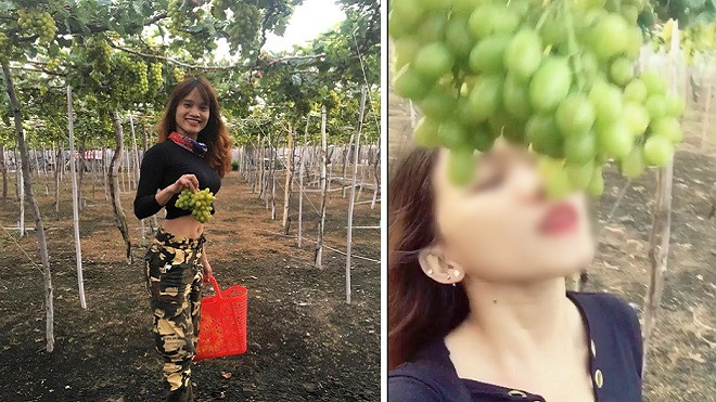 Nữ phượt thủ nhận 'gạch đá' vì ngửa cổ ăn nho tại vườn còn tố chủ vườn 'chặt chém' Ảnh 2