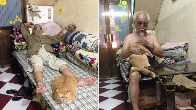 Những khoảnh khắc bình yên của 'Mèo và Ông Nội', tạo thành bộ đôi quyền lực nhất trong nhà Ảnh 2