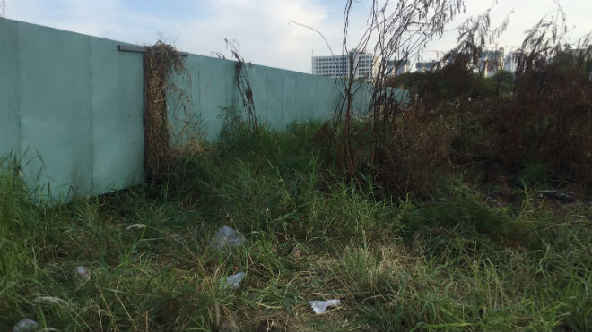 Phát hiện thi thể người đàn ông đang phân hủy trong bãi cỏ, nghi là một nghệ sĩ Ảnh 2