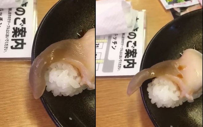Món ăn hot nhất MXH hôm nay: Sushi đột nhiên ‘hồi sinh và tìm cách tẩu thoát’ Ảnh 2