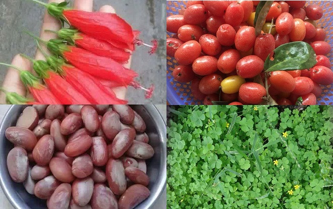 Trà sữa không là gì với những món ăn vặt dân dã ngon - bổ - rẻ ở thời kỳ huy hoàng của thế hệ 8X, 9X Ảnh 2