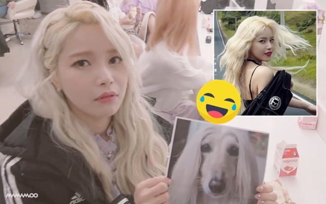 Lột xác trong MV hit mới, Solar (Mamamoo) được fan tặng chân dung hình… chó Ảnh 2