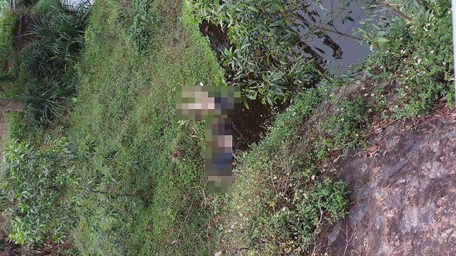 Đi cắt cỏ, hoảng hồn phát hiện xác 2 thanh niên dưới chân cầu Ảnh 2