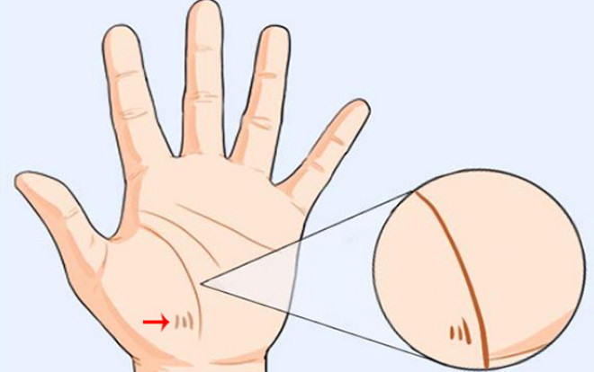 Có đường vân này ở lòng bàn tay, cuộc sống luôn đuề huề, viên mãn Ảnh 2