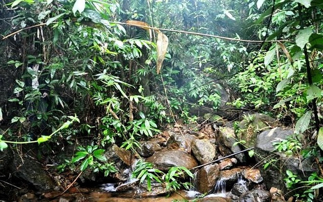 Hoảng hồn phát hiện thanh niên chết trong tư thế treo cổ bên bờ suối Ảnh 2