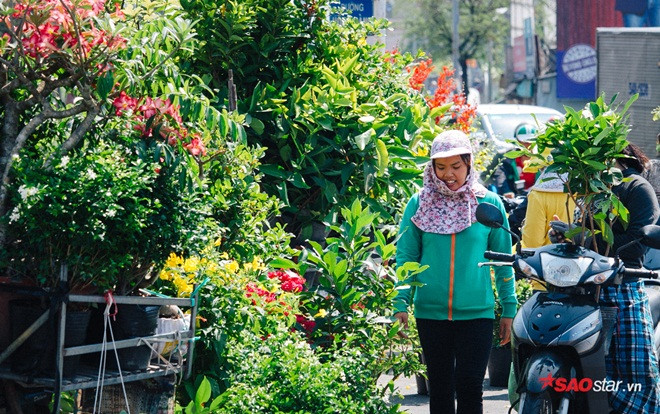 Ở Sài Gòn có những con xe chở 'chợ xanh' sau lưng, hàng chục năm vẫn rong ruổi khắp phố phường Ảnh 2