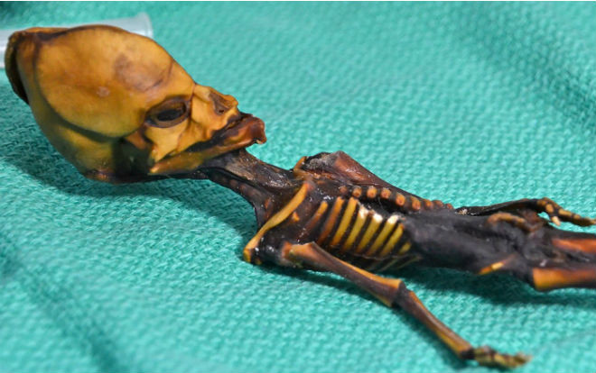 Sự thật về xác ướp 15cm nghi người ngoài hành tinh Ảnh 2