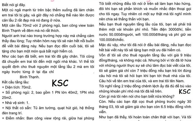 Quảng cáo cho thuê nhà mà mềm mại như một áng thơ, bảo sao khách cứ đến thuê ầm ầm! Ảnh 2