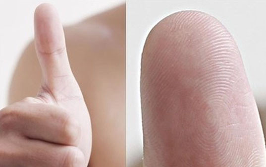 Liếc nhìn hoa tay, biết ngay vận mệnh cùng đời sống tình cảm tốt, xấu Ảnh 2