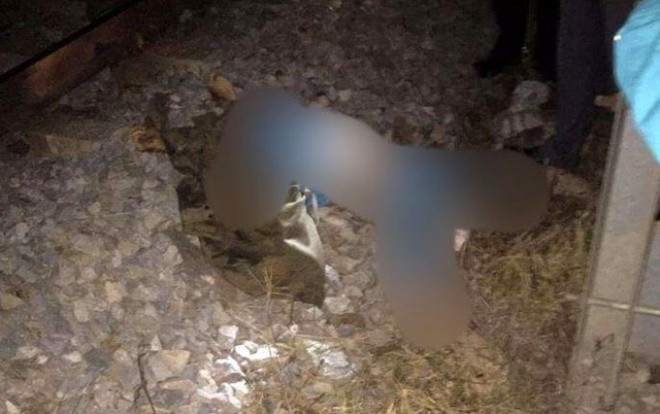 Để lại mảnh giấy 'nhờ gọi điện cho người thân', người phụ nữ lao vào tàu hỏa tử vong thương tâm Ảnh 2