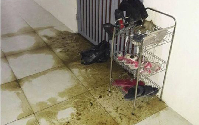 Nghệ An: Kẻ xấu ném chất thải vào nhà dằn mặt… phóng viên vì viết bài điều tra? Ảnh 2