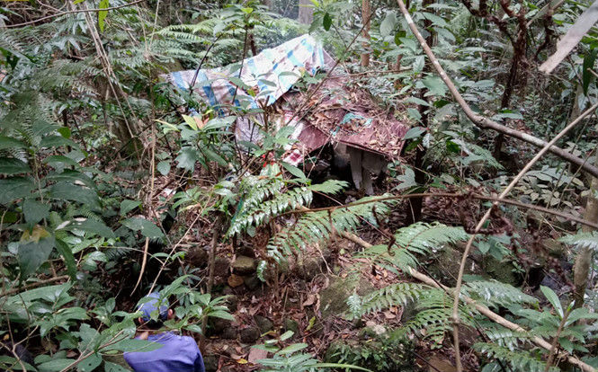 Phát hiện thi thể người đàn ông đang phân hủy giữa rừng, nghi do chết đói Ảnh 2