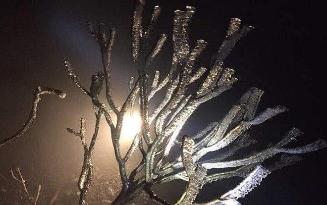 Sắp sang hè, đỉnh Fansipan bất ngờ xuất hiện băng giá Ảnh 2