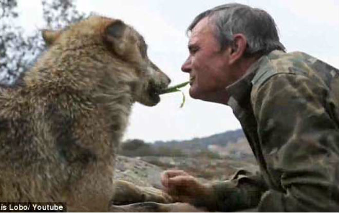 'Người sói’ ngoài đời thực: 'Sống trong hang với rắn, hươu và dơi là ngày tháng hạnh phúc nhất đời' Ảnh 2