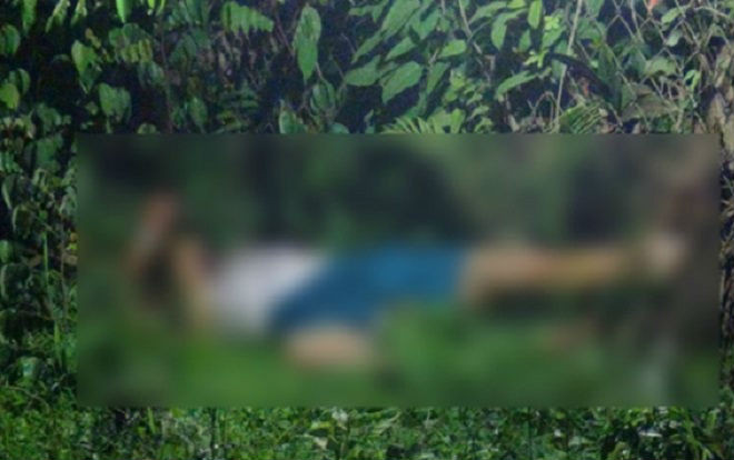 Hàng xóm của nghi can vụ chặt đầu nạn nhân: 'Không ai dám vô vườn thằng Tâm, vô là nó chém chết' Ảnh 2