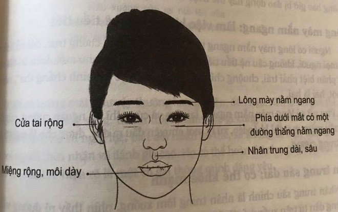 Nhân tướng học: Tướng mạo phụ nữ vượng phu, đàn ông lấy được sướng cả đời Ảnh 2