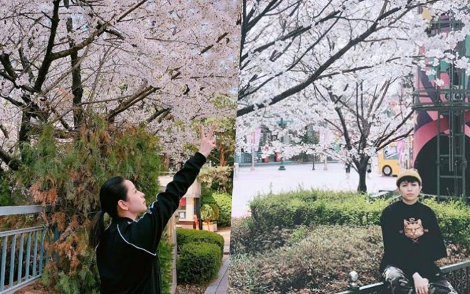 Sự thật đằng sau hình ảnh Chi Pu - Gil Lê hội ngộ ở Hàn Quốc hậu tin đồn rạn nứt Ảnh 2