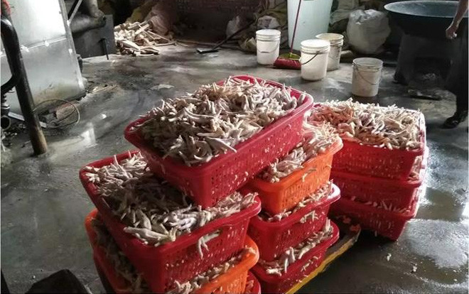Kinh hãi cảnh trong xưởng chế biến 2 tấn chân gà siêu bẩn, chứa chất phụ gia ở Trung Quốc Ảnh 2