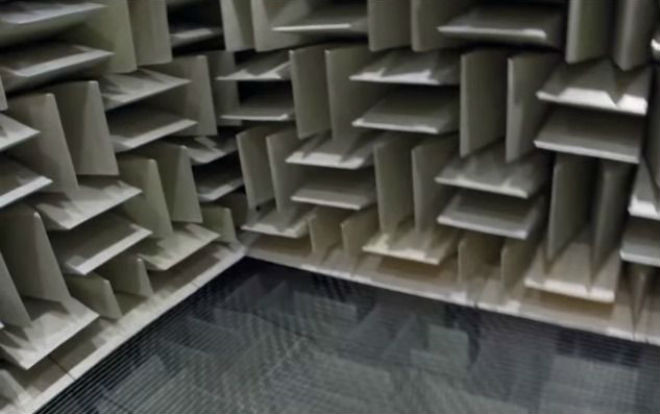 Nơi yên tĩnh nhất thế gian, có thể nghe thấy tiếng tim đập và máu chảy trong huyết quản Ảnh 2