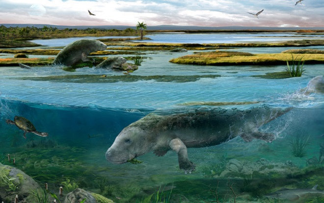 Phát hiện 'quái vật biển' cách đây 42 triệu năm Ảnh 2