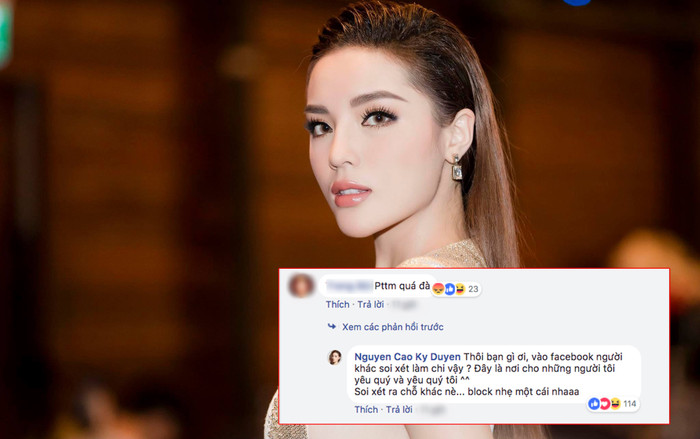 Kỳ Duyên thẳng thừng 'block' khi bị antifan nhận xét 'dao kéo' quá đà Ảnh 2