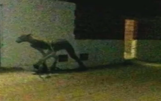 Sinh vật bí ẩn 'nửa người, nửa thú' khiến người dân kinh hãi Ảnh 2