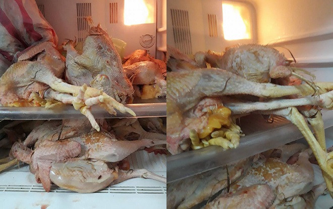 Ngồi nhậu chàng rể khoe bố làm gà 'phút mốt, đến khi ra thành phẩm khiến vợ 'ngã ngửa' Ảnh 2