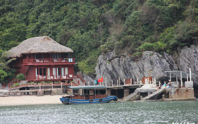 Vườn quốc gia Cát Bà nham nhở vì bị 'xâm hại' Ảnh 2