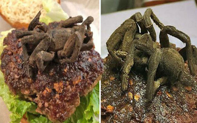 Thảng thốt trước món humbuger nhân nhện độc siêu dị Ảnh 2
