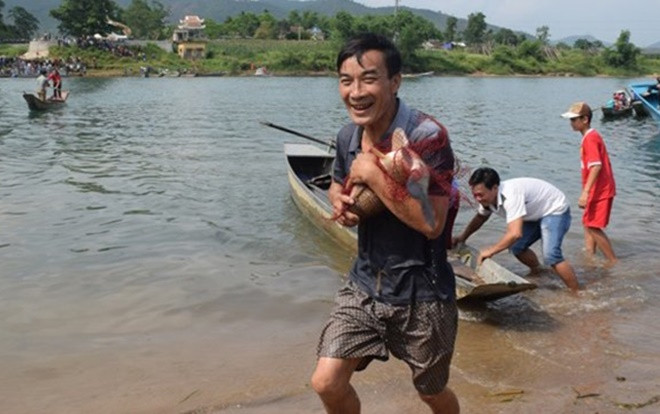 Hội cực lạ: Háo hức tìm cá trắm to, 'body' đẹp Ảnh 2