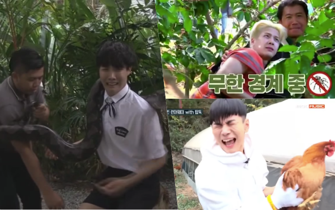 Thả sao Hàn vào sở thú 1 ngày là fan có ngay loạt hình chế dùng hoài không hết Ảnh 2