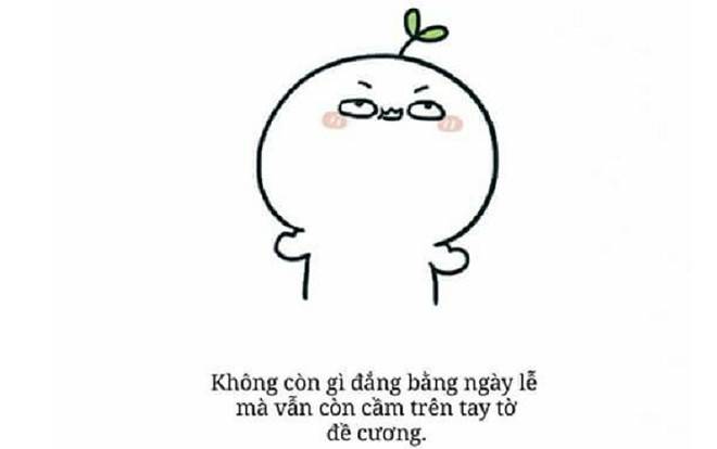 Nỗi khổ không nói lên lời: Về tận nhà nghỉ lễ vẫn không dám đi chơi vì bận ôn thi Ảnh 2