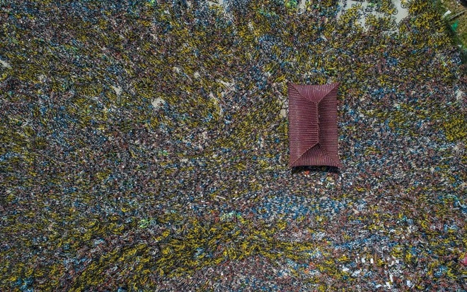 Hoa mắt trước 'nghĩa địa' xe đạp ở Trung Quốc Ảnh 2