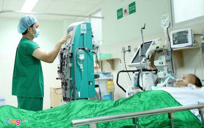 Mê sảng vì bị ong đốt 250 mũi Ảnh 2