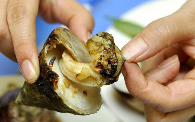 Ốc vú nàng - món ăn khiến du khách 'chết mê' khi đến vùng biển Ảnh 2