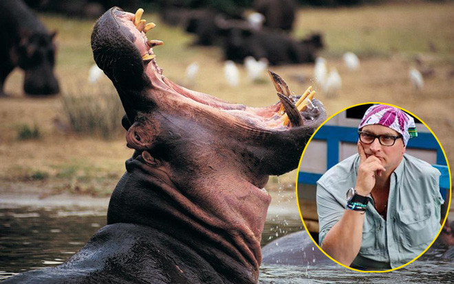 Giây phút thập tử nhất sinh của người đàn ông bị hà mã nuốt chửng Ảnh 2