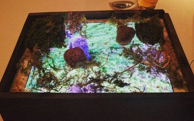 Dùng ipad thay đĩa, thực khách sửng sốt nhìn mà không dám đánh chén Ảnh 2