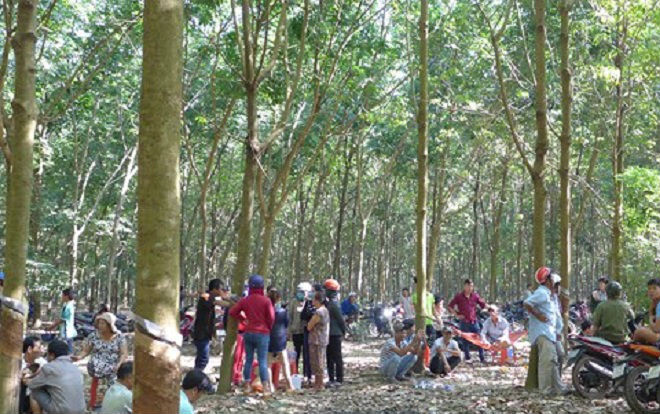 Bắt thêm 3 đối tượng chích điện, cắt vành tai cô gái vì món nợ 20 triệu đồng Ảnh 2