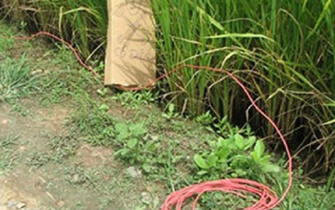 Đi soi nhái, thiếu niên bất ngờ bị bẫy điện giật tử vong Ảnh 2