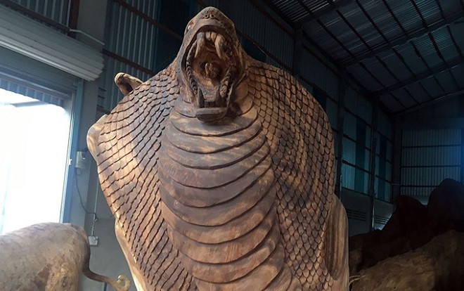 Cận cảnh: Đầu mãng xà siêu khủng 300kg điêu khắc từ gốc cây còng cổ Ảnh 2