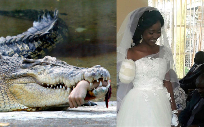 Kết hôn khi vừa bị cá sấu cắn đứt tay và câu chuyện của tình yêu đích thực Ảnh 2