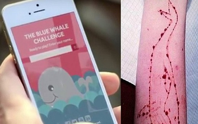 Trò chơi chết người mang tên 'Thử thách cá voi xanh' đã lan tới Việt Nam - Vì sao cần nghiêm cấm giới trẻ tham gia? Ảnh 2
